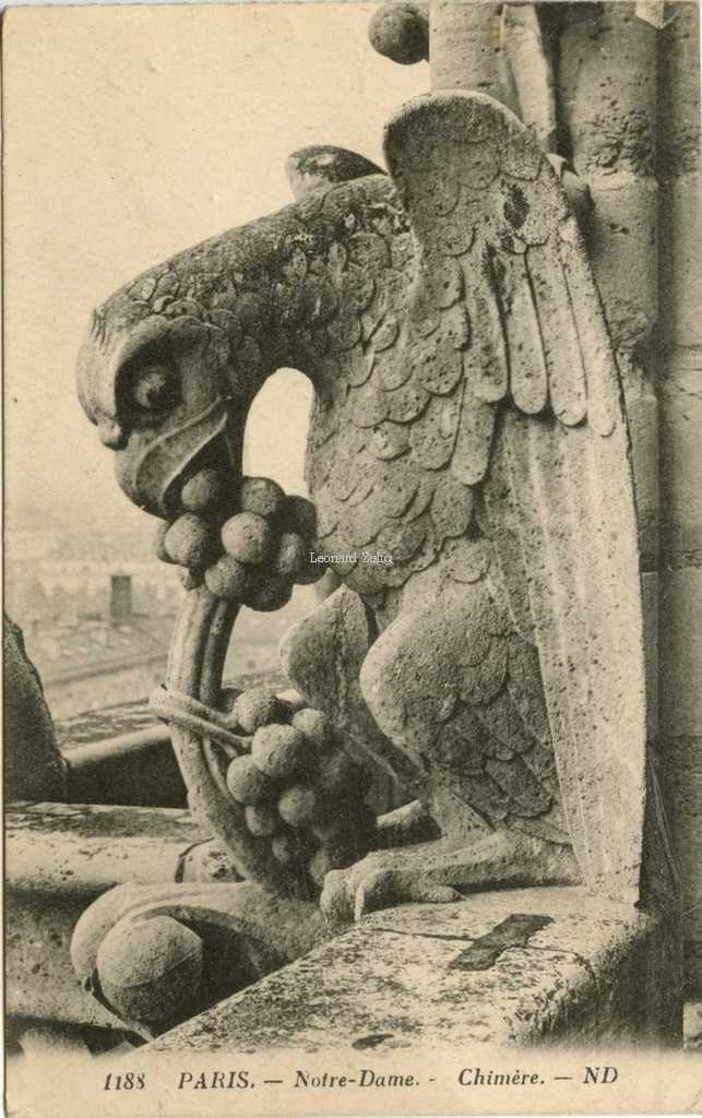 1188 - Notre-Dame - Chimère