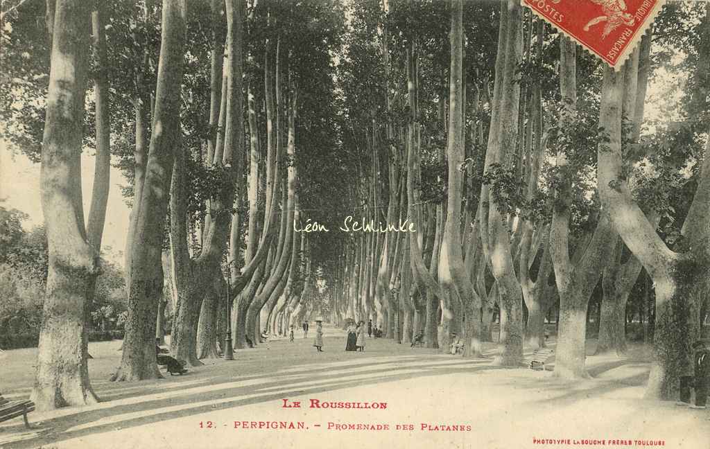 12 - Perpignan - Promenade des Platanes