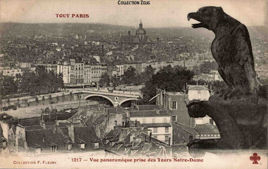 1217 - Vue panoramique prise des Tours de Notre-Dame