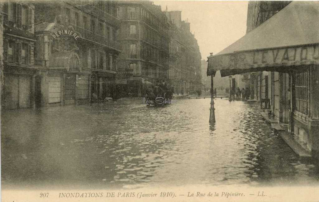 207 - La Rue de la Pépinière