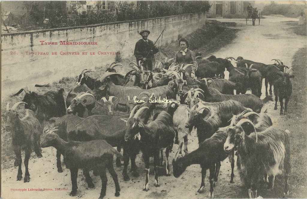 26 - Troupeau de Chèvres et le Chevrier