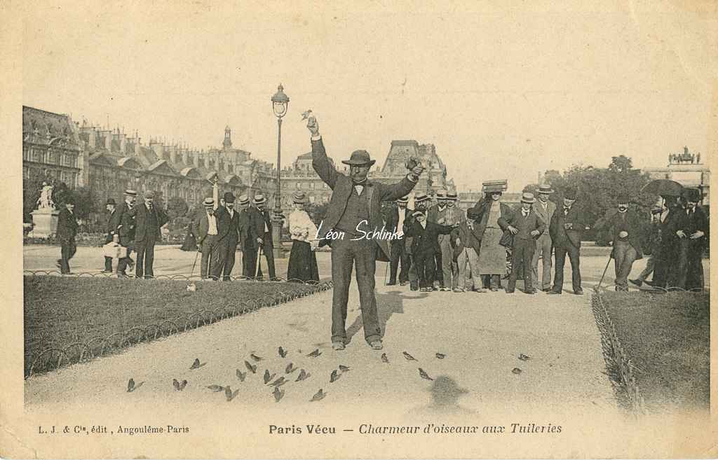 29 - Charmeur d'Oiseaux aux Tuileries