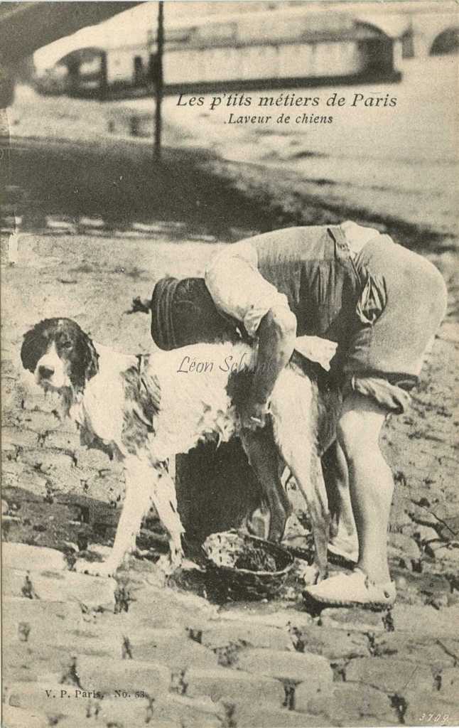 53 - Laveur de chiens