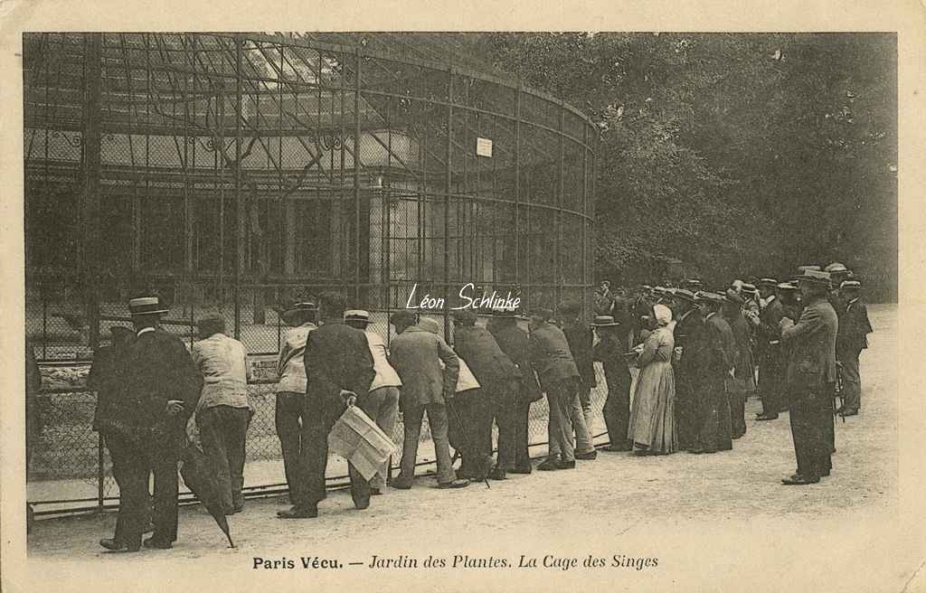 56 - Jardin des Plantes. La Cage aux Singes