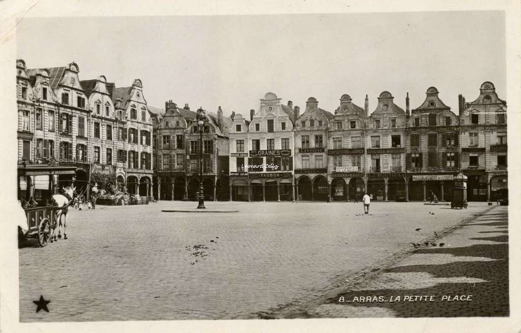 Arras - 8