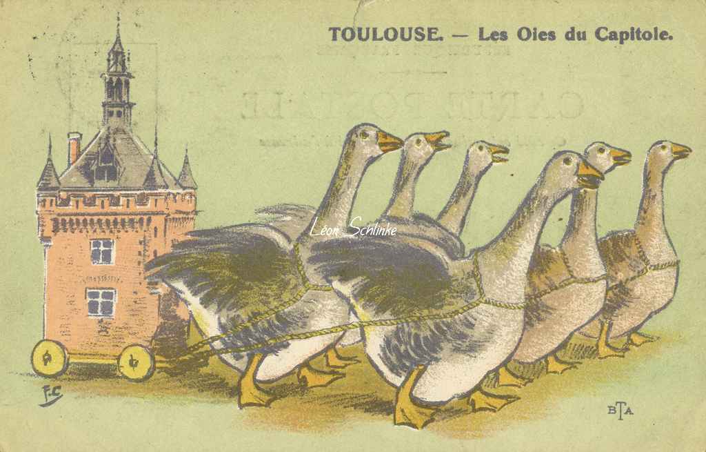 BTA - TOULOUSE - Les Oies du Capitole
