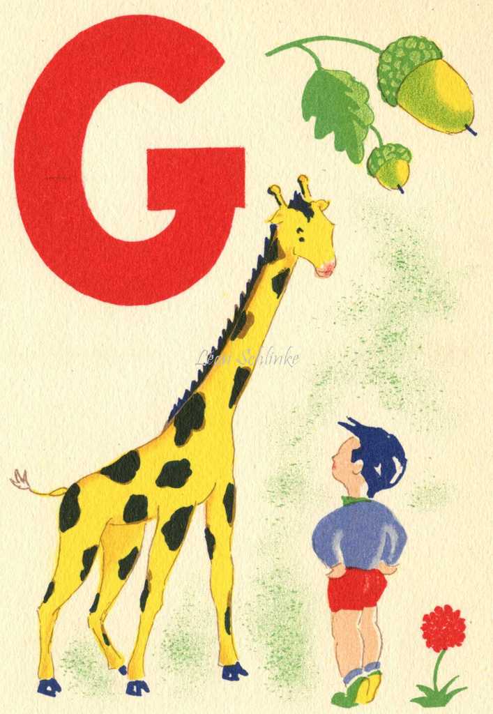 G - La Girafe