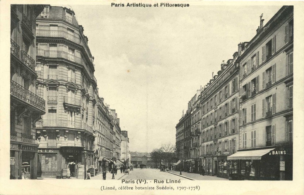 PARIS V° - Rue Linné