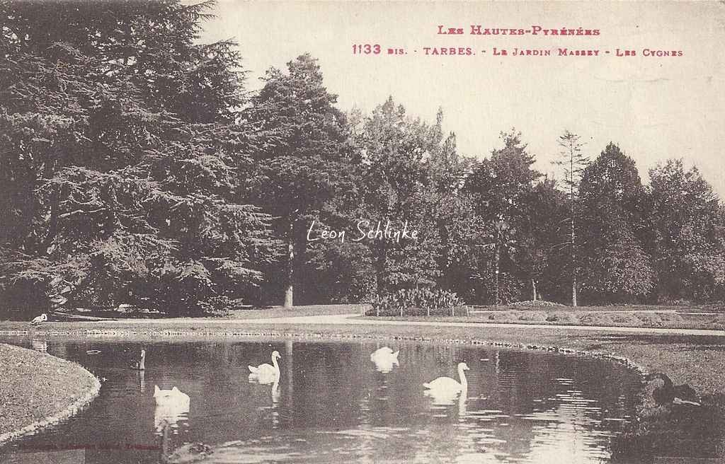 1133 bis - Le Jardin Massey - Les cygnes