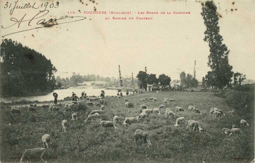 115 - Les Bords de la Garonne au Ramier du Château