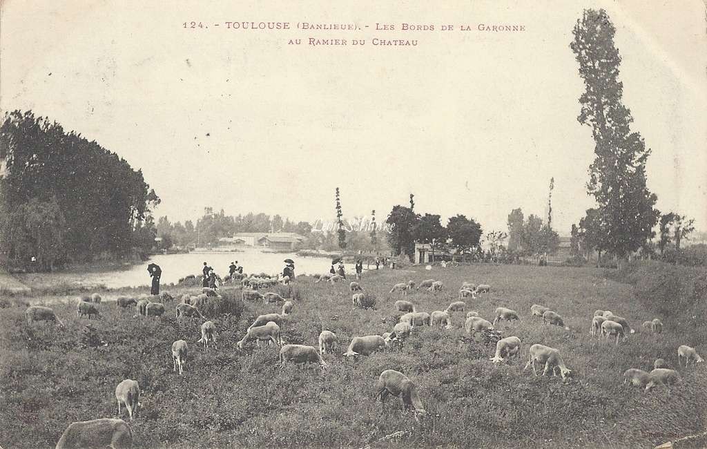 124 - Les Bords de la Garonne au Ramier du Château