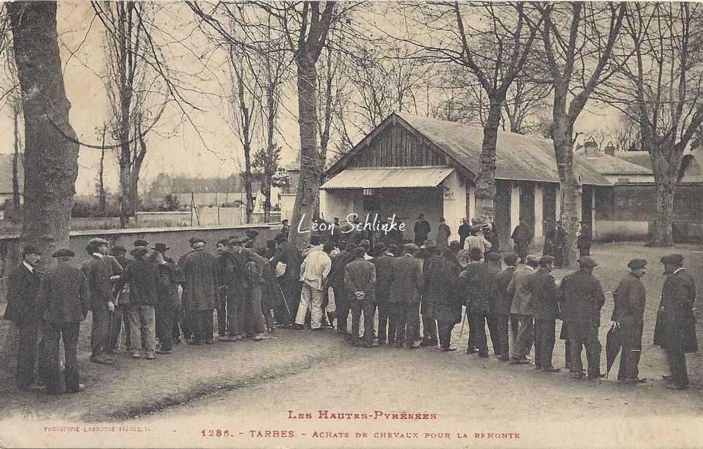 1286 - Achat de chevaux pour la Remonte