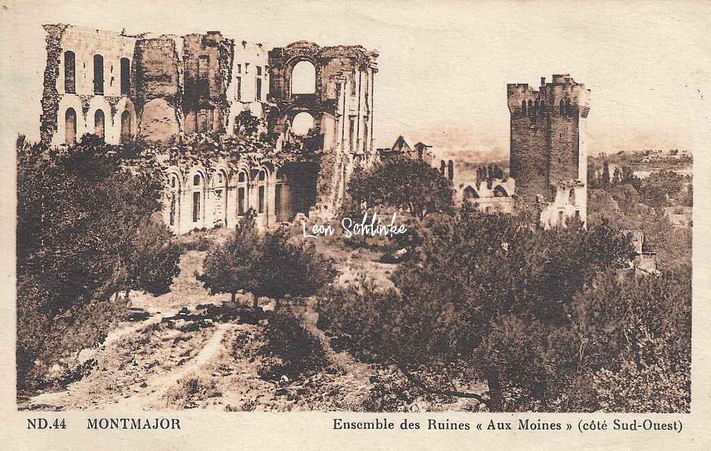 13-Arles - Montmajor, ''Aux Moines'', les ruines (ND 44)