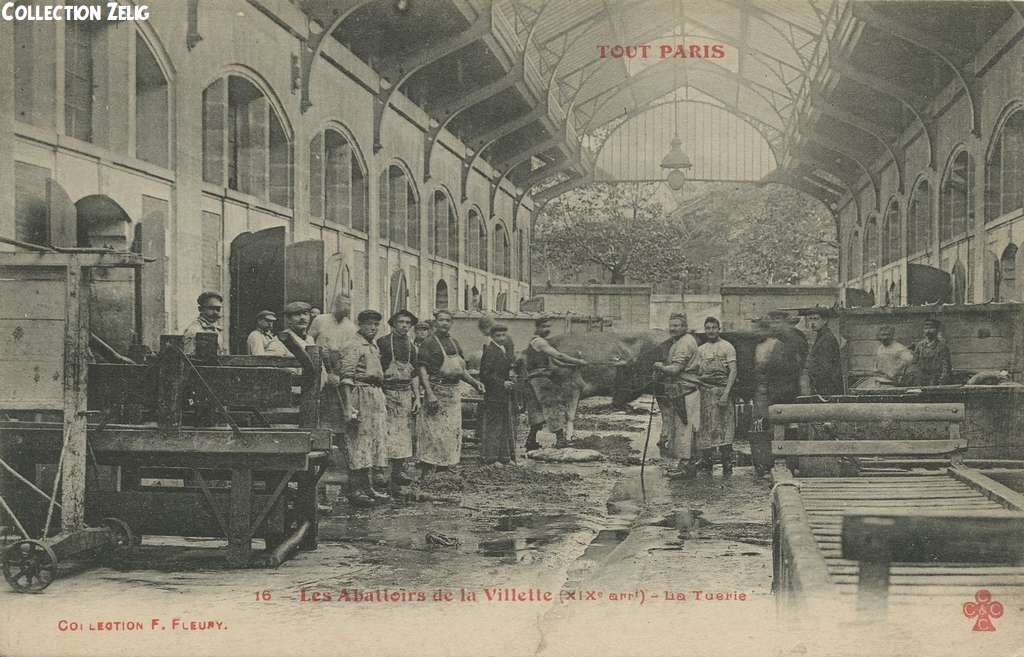 16 - Les Abattoirs de la Villette  - La Tuerie