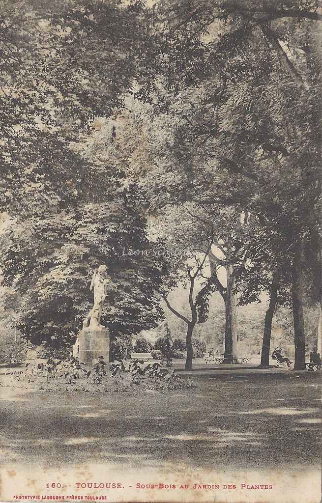 160 - Sous-bois au Jardin des Plantes