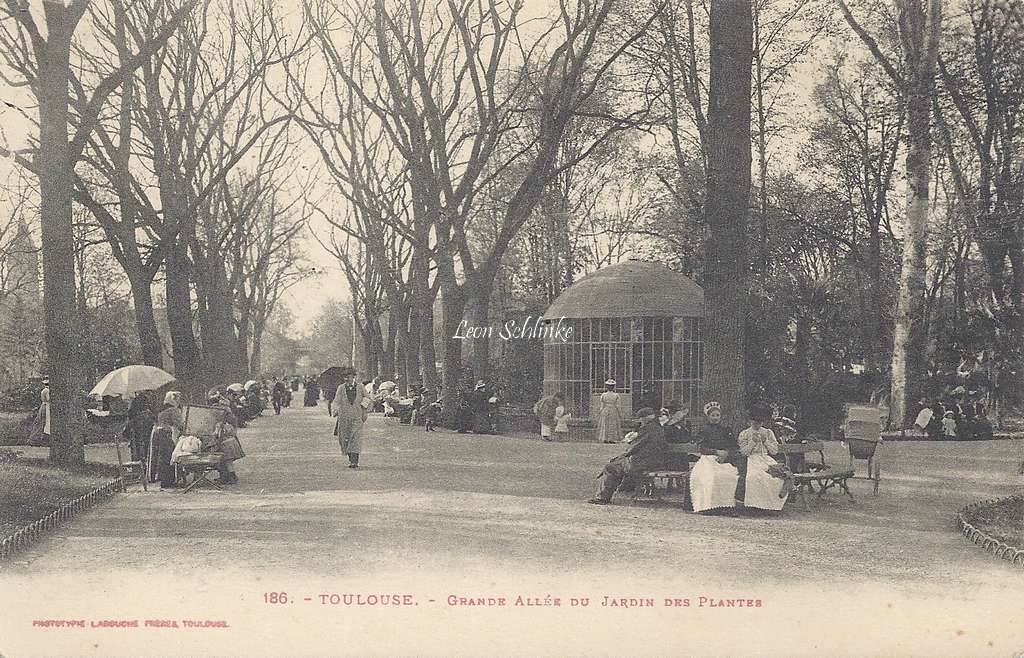 186 - Grande allée du Jardin des Plantes