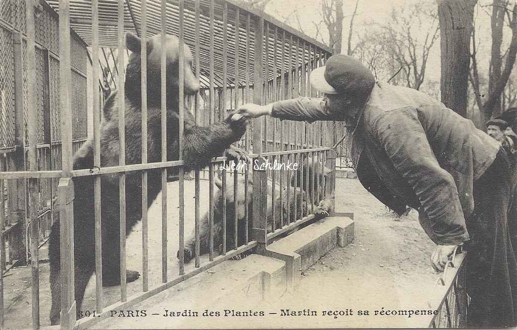 301 - Jardin des Plantes - L'Ours Martin