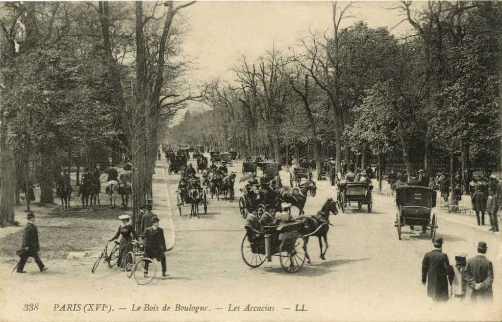 338 - PARIS - Le Bois de Boulogne - Les Accacias