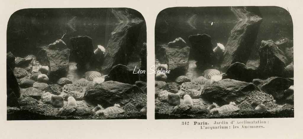 342 - Paris - Jardin d'Acclimatation - L'aquarium