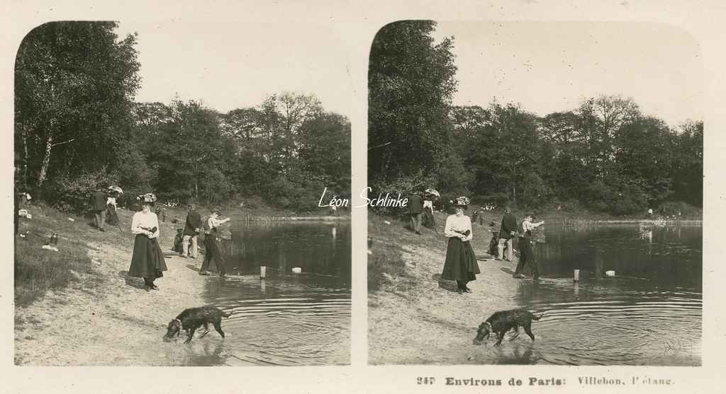 347 - Environs de Paris - Villebon, l'étang