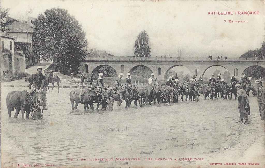 79 - Les Chevaux à l'Abreuvoir