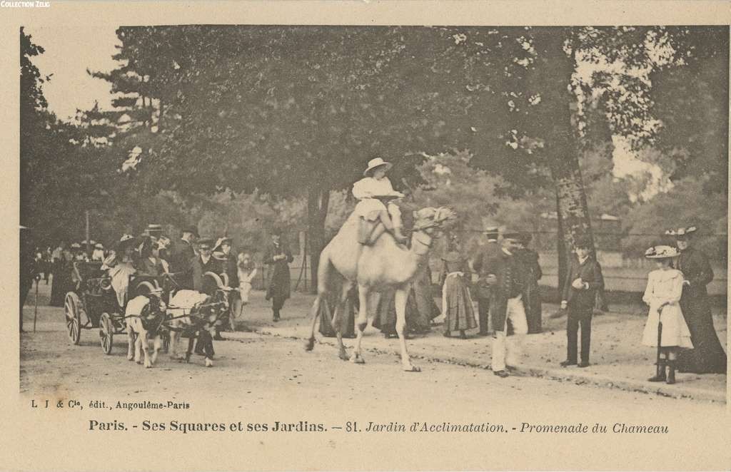 81 - Jardin d'Acclimatation - Promenade du Chameau