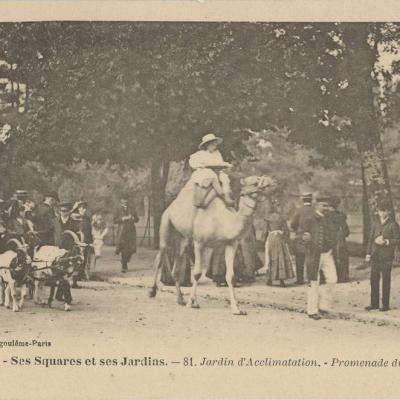 81 - Jardin d'Acclimatation - Promenade du Chameau