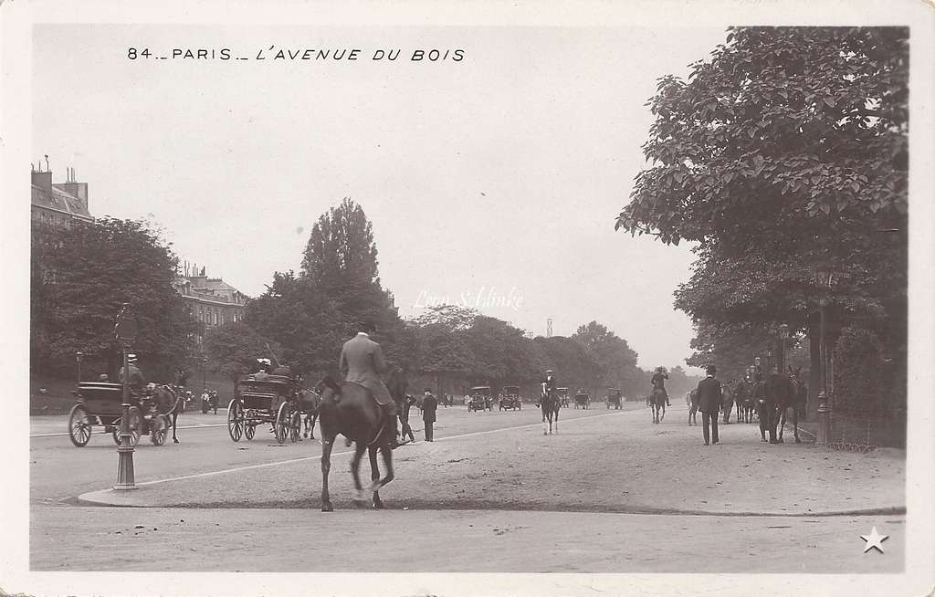 84 - L'Avenue du Bois