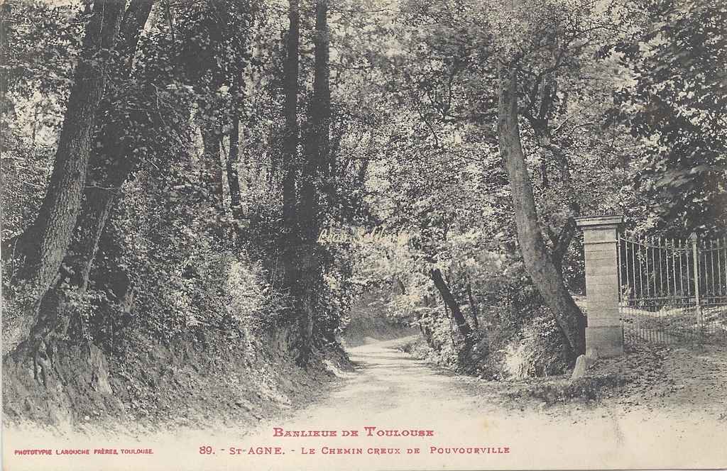 89 - Saint-Agne - Le Chemin creux de Pouvourville