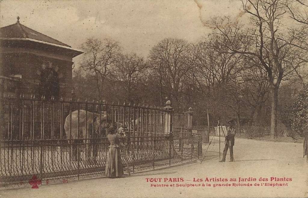 31 - Les Artistes au Jardin des Plantes - Rotonde de l'Eléphant