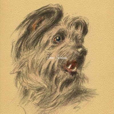 E - Briard