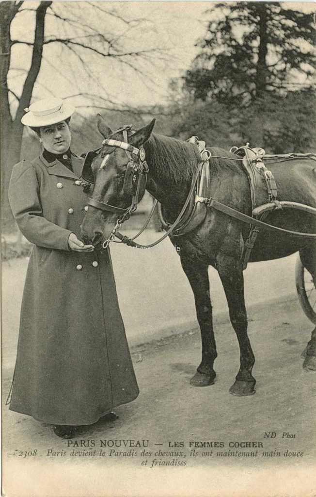 ND 2308 - Paris devient le paradis des chevaux