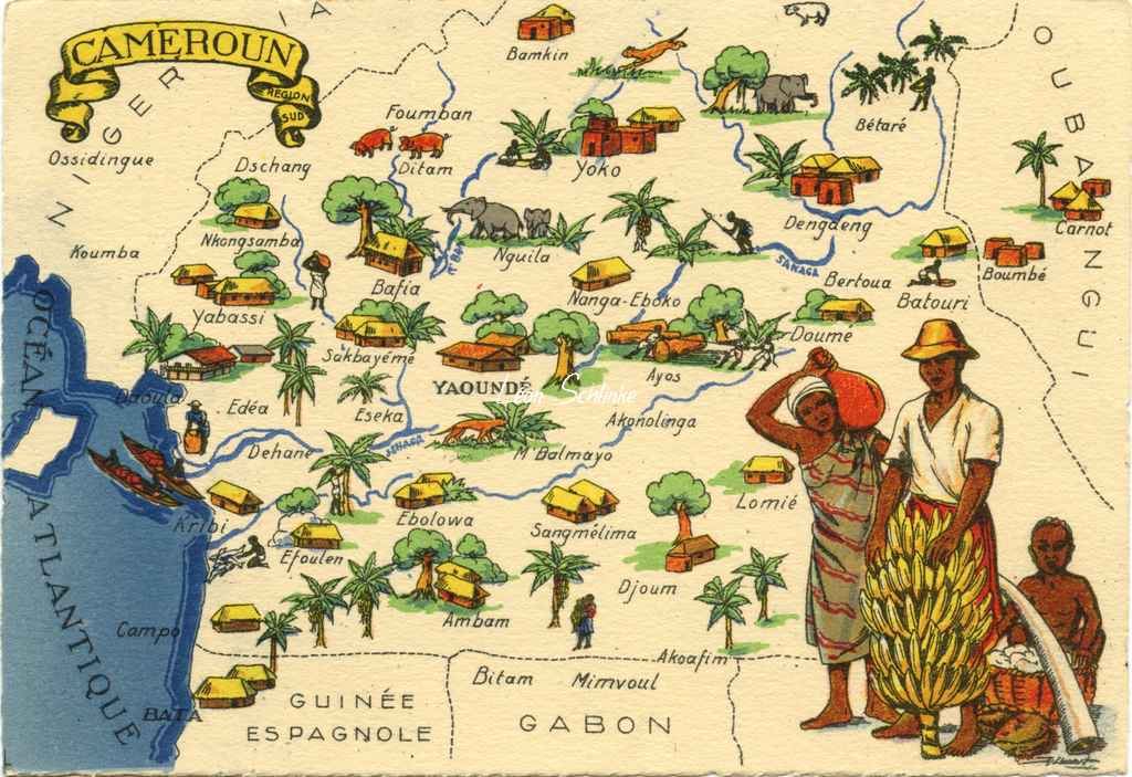 P - Cameroun