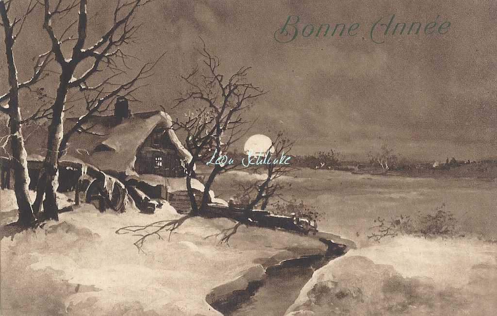 PFB 2607c - Bonne Année